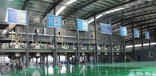 用 星 力量,创新高度 金保姆贝壳粉与大牌同行