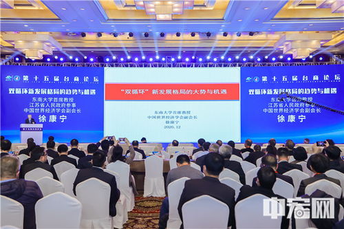 第十五届台商论坛在江苏淮安隆重开幕，聚焦两岸产业合作新机遇